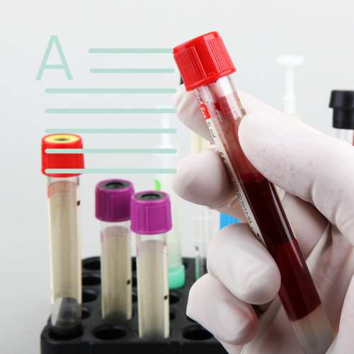 Blood Tests in Pregnancy: What’s Recommended?