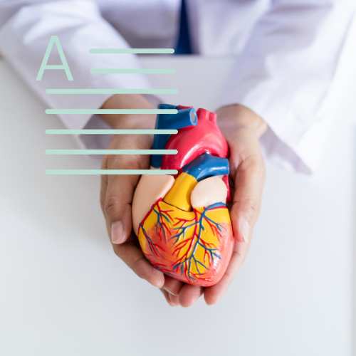 Echogenic Intracardiac Focus (EIF: What You Should Know