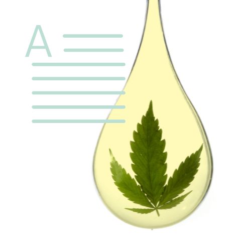 CBD in pregnancy: What’s safe?