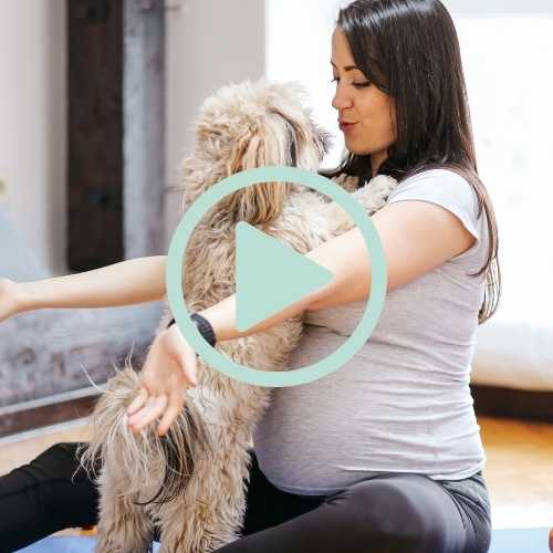 When should I be concerned about my toddler or dog jumping on my pregnant belly?